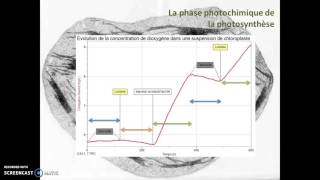 La phase photochimique de la photosynthèse [upl. by Eaton720]