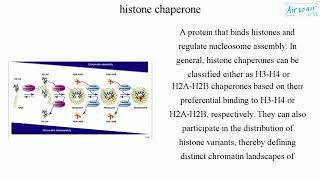 histone chaperone [upl. by Yoshi]