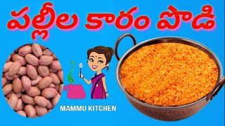 పల్లీల కారం పొడి Ground nut Chilli Powder  Pallila karam podi [upl. by Daniyal848]