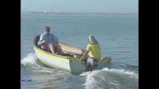 Catching Triggerfish In Moriches Bay NY with The Fishing Line [upl. by Atteragram]