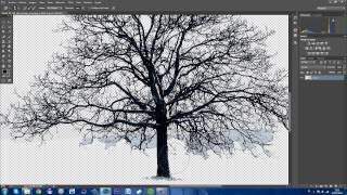 PHOTOSHOP CC  CÓMO BORRAR FONDOS DIFÍCILES  TUTORIAL [upl. by Elodia405]