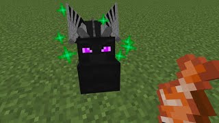 Tame ender dragon in Minecraft  Tame ender dragon mcpe  Minecraft mount dragon mod  minecraft mod [upl. by Gerbold]