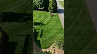 Tall Fescue Single Double Crop Circles lawnstripes gciturf [upl. by Ahsemac761]