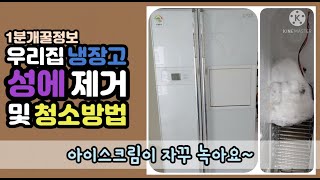 우리집 냉장고 음식이 녹아요 냉동실 성에제거 및 청소방법 [upl. by Oilut]