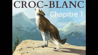 Croc Blanc  Livre audio 🔈  Chapitre 1  La piste de la viande  Jack London [upl. by Penelope630]