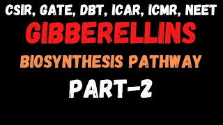 Gibberellins  Biosynthesis Pathway of Gibberellins  PlantHormones [upl. by Adar]