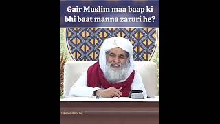 Gair Muslim maa baap ki bhi baat manna kya zaruri he dawateislami askislamicscholars ilyasqadri [upl. by Craggie]