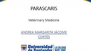 Parascaris  Parasitologia Veterinaria [upl. by Prissie]