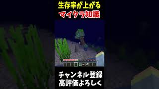 知っておくと生存率が上がるマイクラ裏技Minecraft アップデート 裏技 [upl. by Llimaj]