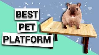 Create the BEST DIY platform for your gerbils and hamsters [upl. by O'Neil]