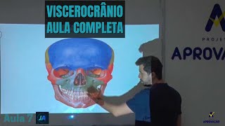 Osteologia do Crânio  Viscerocrânio Ossos da Face  AULA 7 [upl. by Ehrlich]