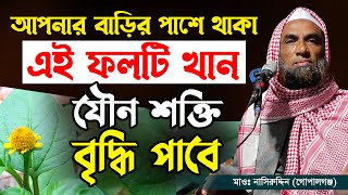 শক্তি বৃদ্ধি করতে হলে অবশ্যই দেখুন। নাসির উদ্দীন যুক্তিবাদী ওয়াজ।Nasir Uddin Juktibadi Gopalgonj Waz [upl. by Rhtaeh]