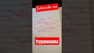 Trypanosoma trypanosomabrucei🫘 ternding videoviralvideo and short📝 नोट by Rajendra Yadav [upl. by Sissy]