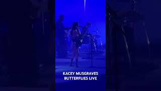 Kacey Musgraves plays “Butterflies” on Nov 10 2024 in Pittsburgh [upl. by Eirffej]