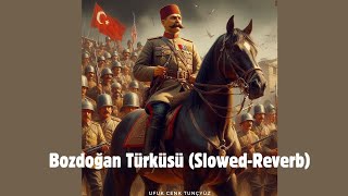 Bozdoğan Türküsü Slowed  Reverb [upl. by Annatnas]