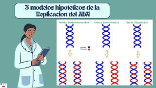 Bases Moleculares Video 2 [upl. by Einnal]