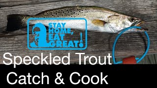 Speckled Trout Catch amp Cook  Stay Home Eat Great  Recipe 20 [upl. by Akinahc]