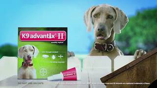 K9 Advantix® II Bug Zapper Commercial 15  Flea Tick amp Mosquito Treatment for Dogs [upl. by Nahpets324]