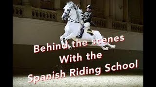 Behind the scenes with the Spanish Riding School of Vienna [upl. by Dell]