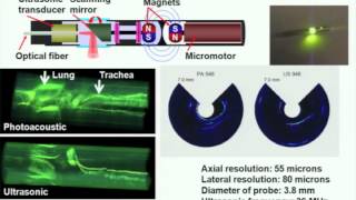 Photoacoustic tomography ultrasonically breaking through the optical diffusion limit [upl. by Nae]