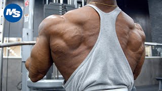 Freaky Back Vascularity Brandon Hendricksons Prep Back Workout [upl. by Virgilia]