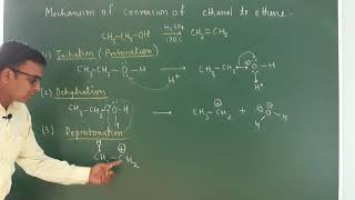 Mechanism of dehydration of alcohol Alcohol phenol and ether  class 12 [upl. by Philbert408]