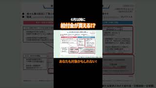 【7月】10万円の給付金！申請方法や支給対象者について完全解説！絶対に申請して！【定額減税調整給付金不足額給付金年金生活者】年金 給付金 お金 [upl. by Browne]