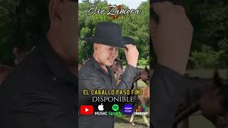 Llaneras Venezolanas Románticas llaneras musicallanera [upl. by Anikehs]