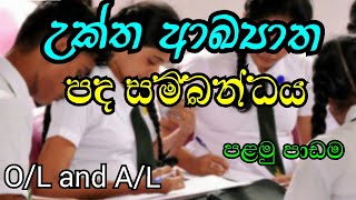 Uktha akyatha pada sambandaya padam 01උක්‍ත ආඛ්‍යාත පද සම්බන්ධය  study with hashi [upl. by Catrina]