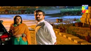 Mann Mayal Full OST Complete Song l Hamza Ali Abbasi Maya Ali l Hum TV HD [upl. by Nollie869]