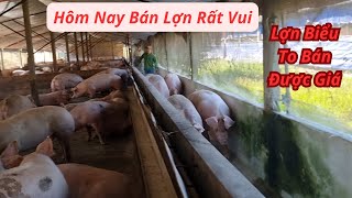 Hôm Nay Bán Lợn Rất Vui Lợn Biểu Cân To Bán Được Giá [upl. by Dickey]