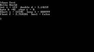 Java Tutorial 11 Primitives amp Literals [upl. by Attennhoj]