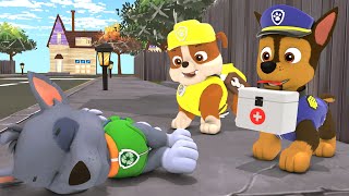 Rocky please wake up Chase is here Sad story Paw Patrol 3D Animation [upl. by Notrab]