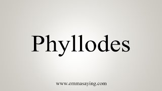 How To Say Phyllodes [upl. by Erreit]