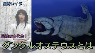 【最強の古代魚！】ダンクルオステウスとは [upl. by Lener]