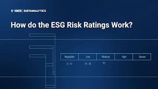 How Do the ESG Risk Ratings Work [upl. by Skolnik565]