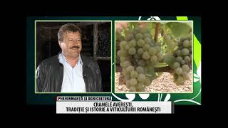 CRAMELE AVERESTI Culesul vitei de vie si producerea vinului  10 oct 2014  BT Video [upl. by Flessel]