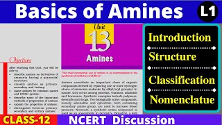 L1 Amines NCERT Class 12  Structure Classification amp Nomenclature of Amines 12th Organic Chemistry [upl. by Relyhs199]