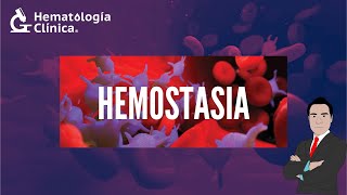 HEMOSTASIA [upl. by Meredith455]