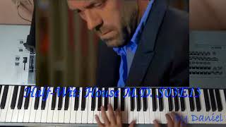 Half Wit House MD Piano [upl. by Ynaffik]