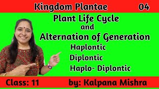 KINGDOM PLANTAE 04 PLANT LIFE CYCLE amp ALTERNATION OF GENERATION CLASS 11 [upl. by Tneicniv]