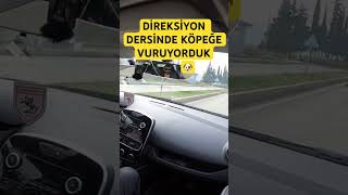 KÖPEĞE VURMAKTAN SON ANDA KURTARDIK [upl. by Eilesor]