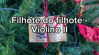 Filhote do filhote  violino II [upl. by Navap]