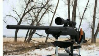 Weatherby Vanguard Series 2 Synthetic Youth 22250 Remington Rifle  Images [upl. by Ardnuek281]