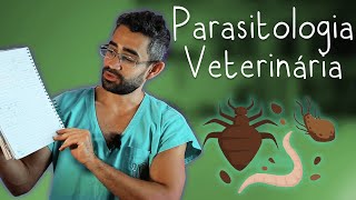 Parasitologia Veterinária  Disciplinas da Vet 9 [upl. by Trever]