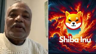 Crypto Bull Run What happened to Shiba Inu  IN TELUGU telugucrypto [upl. by Hameean]