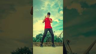 Bhool Bhuulaiyaa 3 Title Track Dance kartik Arya song  danceravinash [upl. by Trebla835]