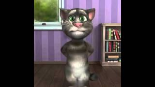 Talking Tom Fassi Bassel hhhh [upl. by Ielak691]