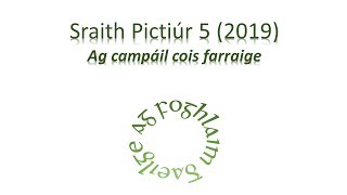 Sraith Pictiúr Ag campáil cois farraige [upl. by Nagyam]