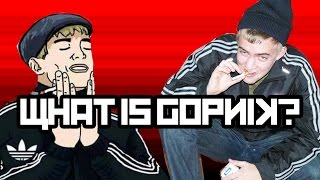 What is Gopnik [upl. by Yetac]